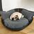 Leather dog basket MILA