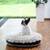 Round dog cushion Lounge ROSE