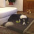 Memory foam dog mat PETER