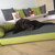 Memory foam dog mat PETER
