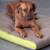Memory foam dog mat PETER