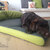 Memory foam dog mat PETER