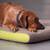 Memory foam dog mat PETER