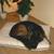 Orthopedic dog mattress MARY