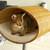 Design scratching post RONDO Stand Rattan