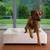 Design dog bed CUBE faux leather