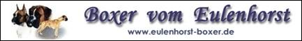 Boxerzucht vom Eulenhorst