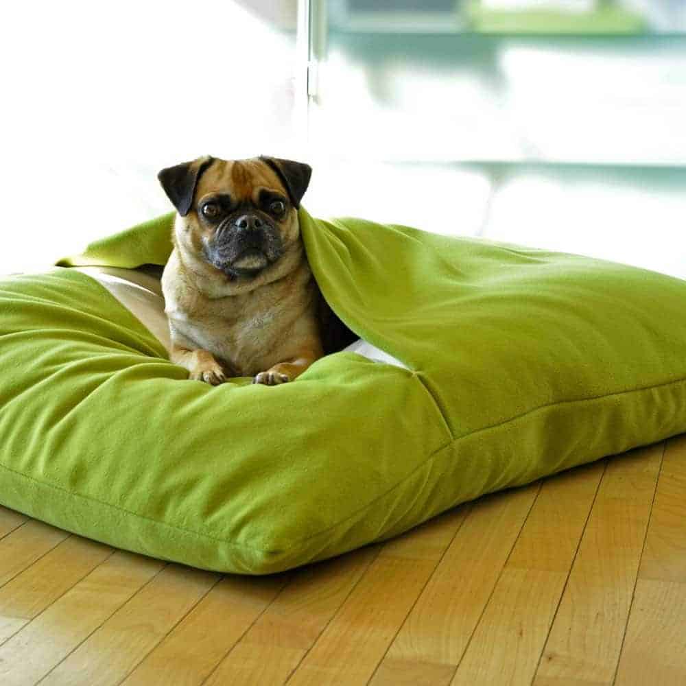 dog bed bag