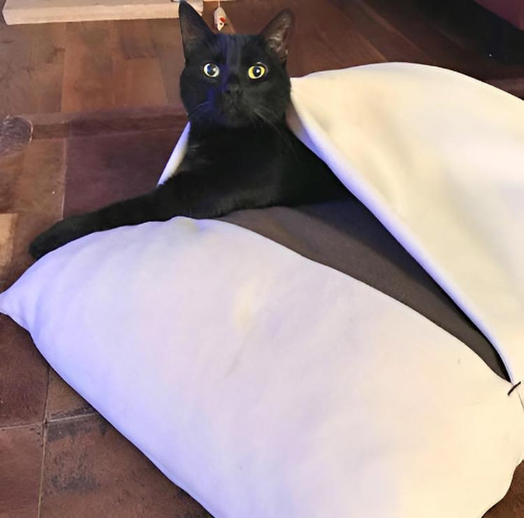 Sleeping bag for cats Divan DUE