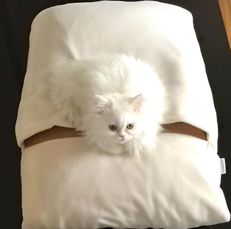 Sleeping bag for cats Divan DUE