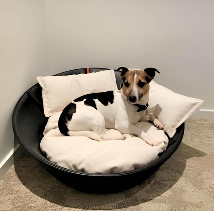 Leather dog basket MILA