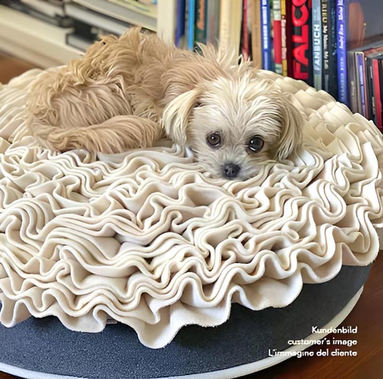 Round dog cushion Lounge ROSE
