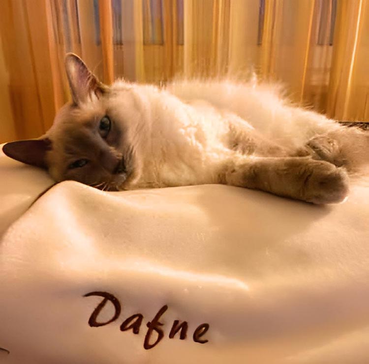 Sleeping bag for cats Divan DUE