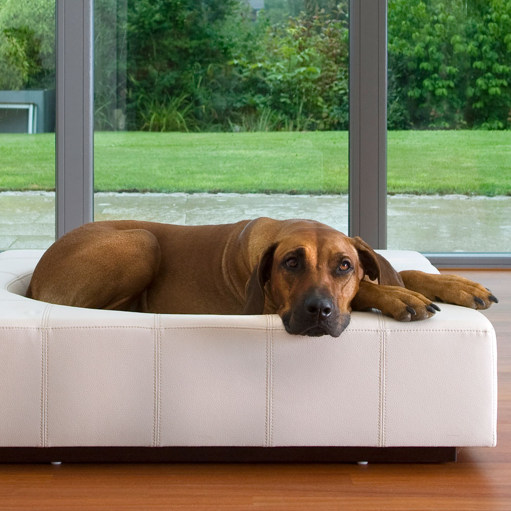 Pet Store For Designer Dog Beds Cat Beds And Hand Made Pet Beds