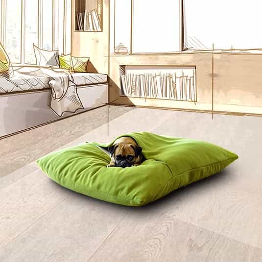 hund comfort plus dog mattress