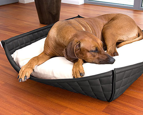 Cane-letto-cuccia-lusso-esclusiva-Bowl-pelle-pet-interiors