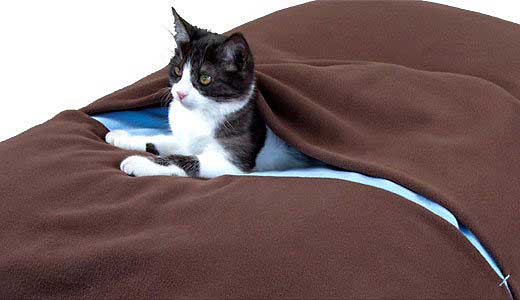 coperta cuscino gatti