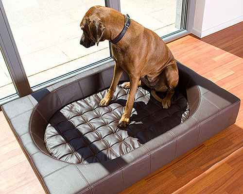 Letto-cane-pelle-esclusiva-qualita-premio-pet-interiors