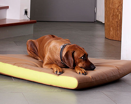 Materasso-memory-foam-per_cani-feltro-lana-Peter-pet-interiors